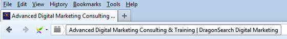 Screenshot showing title for DragonSearch homepage