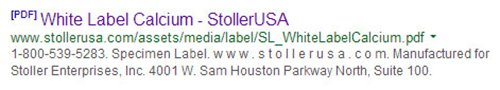 How a PDF appears in search results