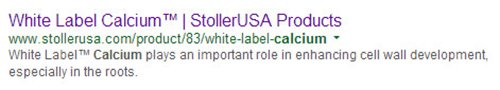 A landing page for a white paper, as it appears in search results.
